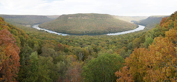 Panoramic view of River Gorge in Tennessee Panorama fall seasonal view of the Temnnessee River in the Tennessee River Gorge. Elder Mountain is surrounded by the river. The photo is taken from Snoopers Rock. tennessee river stock pictures, royalty-free photos & images