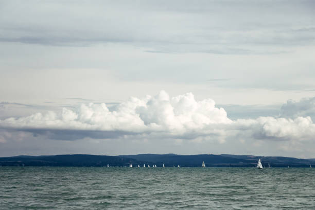 Panoramic view of the Lake Balaton with white sailboats stock photo