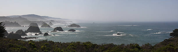 panoramic view of the nothern california coastline - rachel hazes stockfoto's en -beelden