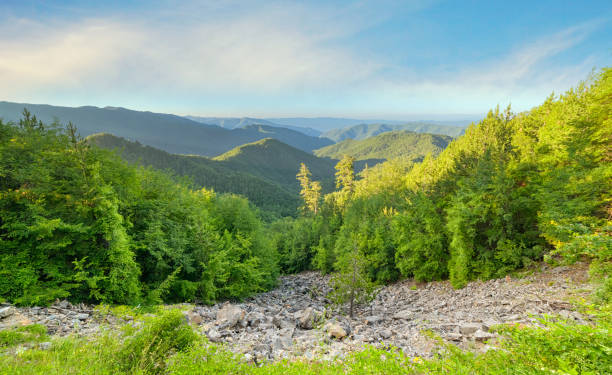 Panoramic view to the Rhodope mountain forest - Greece stock photo