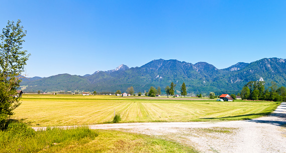 XXL Panoramic view of Bavarian meadows, a trail and the mountains Benediktenwand, Rabenkopf and Jochberg in the Bavarian Alps, Germany.