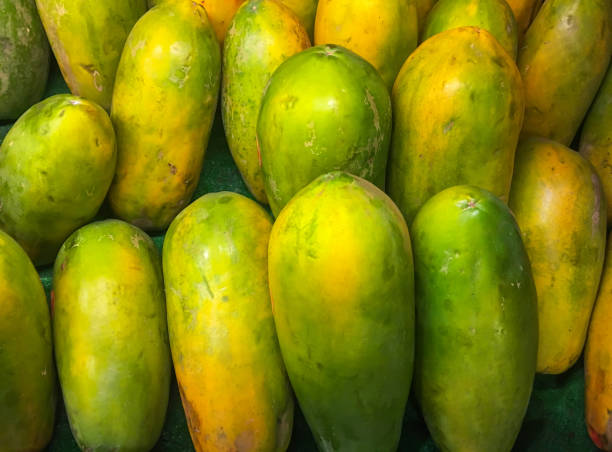 Papaya fruit at market  papaya stock pictures, royalty-free photos & images