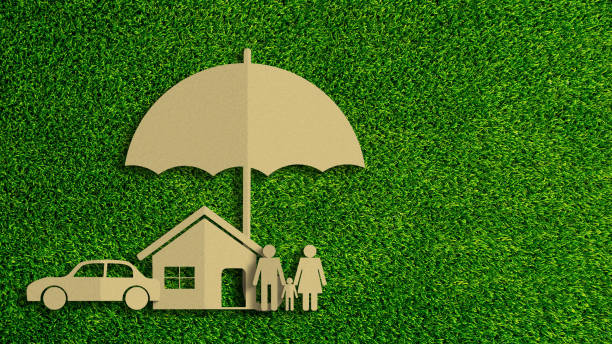 녹색 잔디 배경에 보험 개념의 종이 컷. 자동차 보험, 생명 보험, 우산에 의한 보호에 주택 보험. - 보험 뉴스 사진 이미지