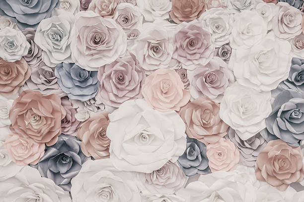 Paper rose background stock photo