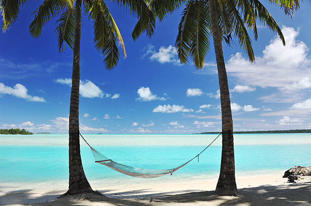 Paradise Lagoon A Hammock hanging from palm trees, the shade of Coconut Palms beside a perfect turquoise lagoon beach ocean on a paradise vacation  desert island stock pictures, royalty-free photos & images