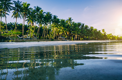 Sunny tropical beach with palm trees reflecting in water\nSiquijor, Philippines
