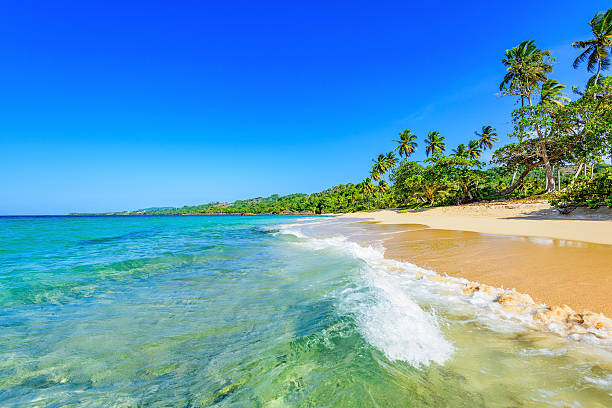 paradise tropical beach Paradise nature, sea on a tropical beach with green tree big island hawaii islands stock pictures, royalty-free photos & images
