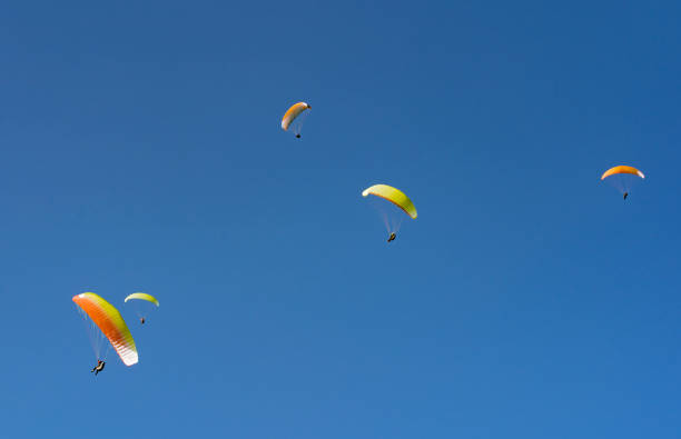 paragliders in the Allgau Alps Paragliders in the blue sky of the Allgau Alps around the Mittag summit in Immenstadt, Bavaria allgau alps stock pictures, royalty-free photos & images