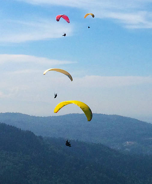 Paragliders. stock photo
