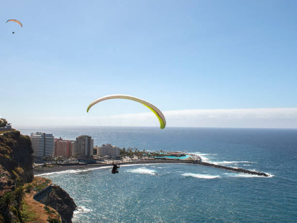 Paragliding above cliffs of  Puerto de la Cruz stock photo