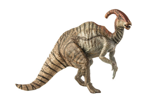 Parasaurolophus Dinosaur on white background . Clipping path stock photo