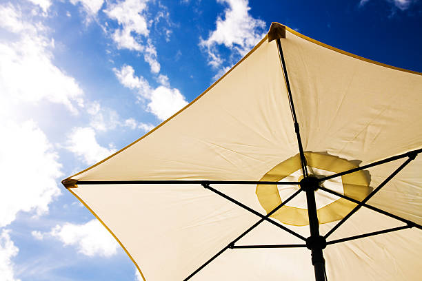 parasol stock photo