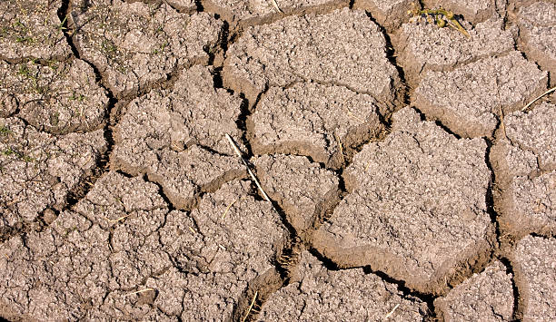 Parched dry earth background stock photo