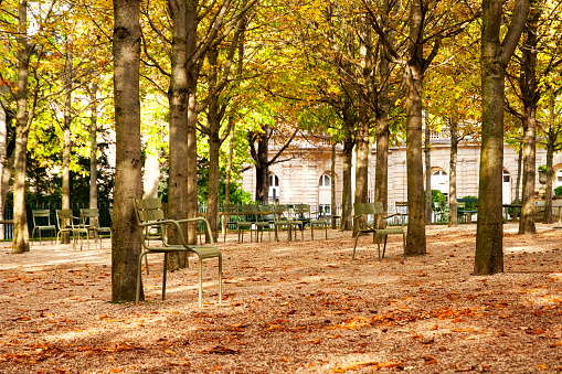 Paris : Jardin du Luxembourg in autumn.