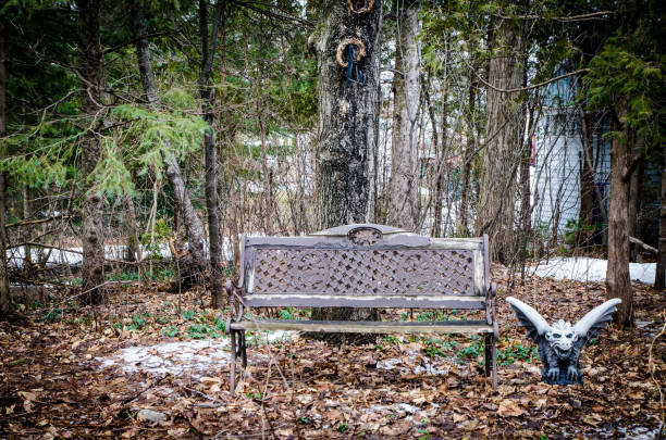 Park bench and gargoyle in wooded area of backyard stock photo