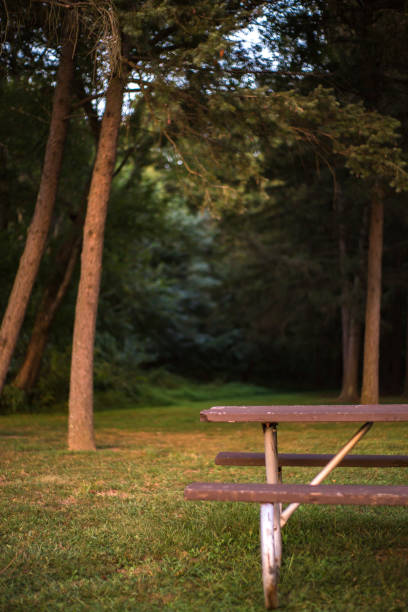 Park Bench Late In The Day In New Jersey Stock Photo Download