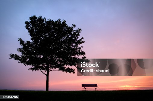 istock Park Bench with Tree 108151286