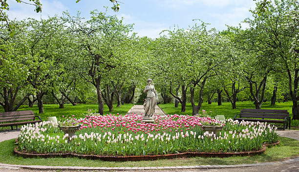 Park in spring stock photo