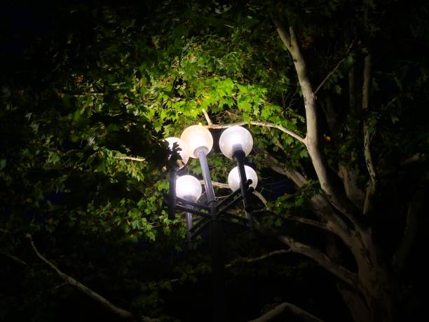 Park lantern lighting equipment, evening walk and recreation stock photo
