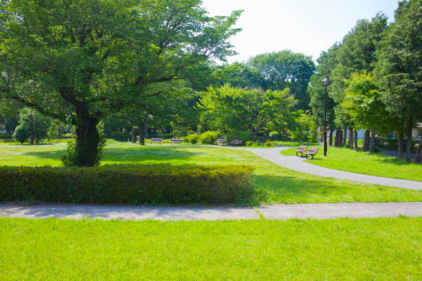 park Sunny garden park stock pictures, royalty-free photos & images