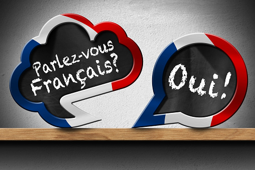 3D illustration of two speech bubbles with French flag and question Parlez-vous Francais? and Oui! (Do you speak French? and Yes!). On a wooden shelf with a wall on background.