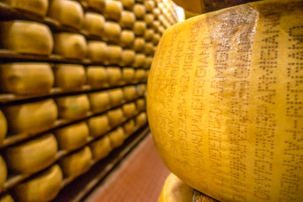 Parmagiano Reggiano cheese aging parmigiano-Reggiano or Parmesan cheese, is a hard, granular cheese made in Italy. parmesan cheese stock pictures, royalty-free photos & images