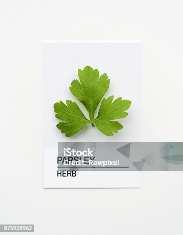 istock Parsley&nbsp;leaf on white paper 875928962