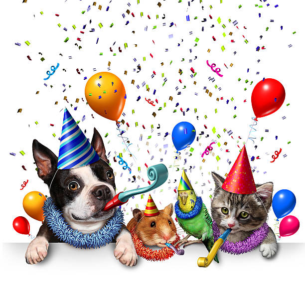 Party Pet Celebration Party pet celebration and new year partying as a group of pets as a happy dog cat bird and hamster celebrating an anniversary or birthday party with 3D illustration elements. happy new year dog stock pictures, royalty-free photos & images