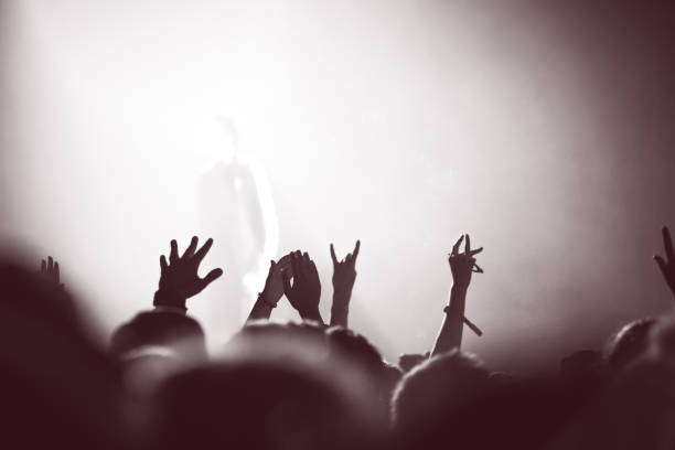Partying crowd at a concert stock photo