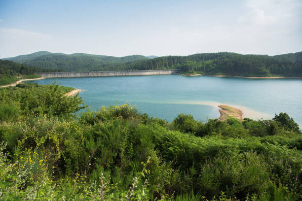 Passante Lake in Sila National Park, Calabria stock photo