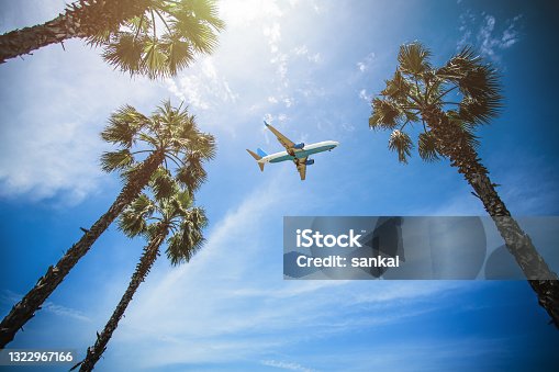 istock Passenger airplane flying above palm trees 1322967166