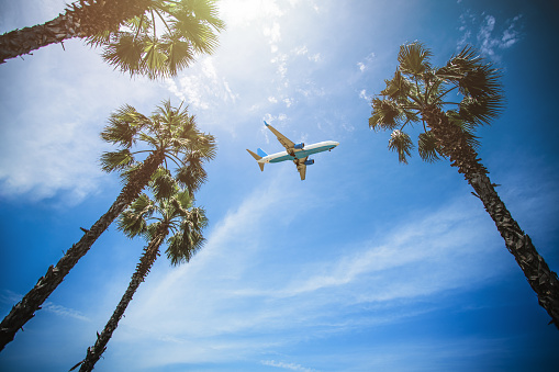 Passenger airplane flying above palm trees