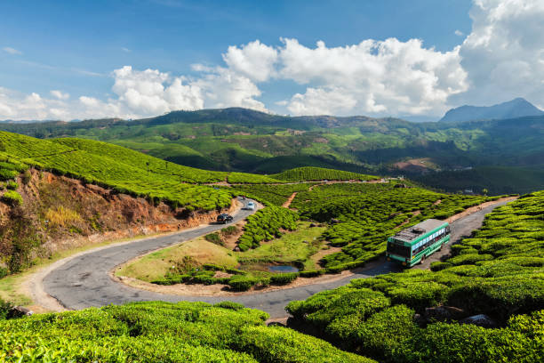 Passenger bus on road in tea plantations, India Passenger bus on road in tea plantations, Munnar, Kerala state, India kerala stock pictures, royalty-free photos & images