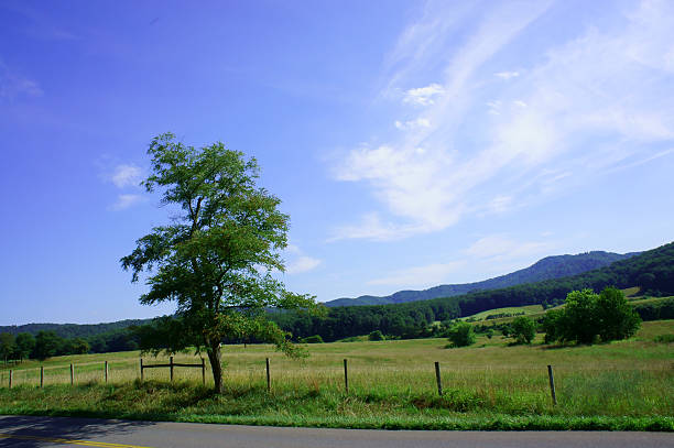 Pastoral farm against the Blue Ridge stock photo