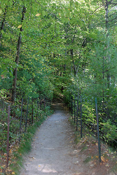 Path Around Walden Pond stock photo