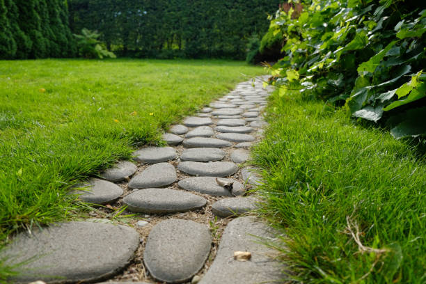 Path from cobble-stones in a grass in a garden stock photo