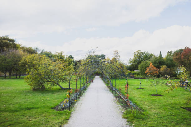 путь в саду возле бишопс парк, фулхэм, лондон, великобритания - fulham стоковые фото и изображения