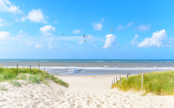 pad in de duinen naar het strand - nederland strand stockfoto's en -beelden