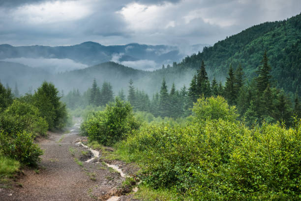 Path leading to fog mountains Wet path leading to the mountains. Landscape after the rainy weather. carpathian mountain range stock pictures, royalty-free photos & images