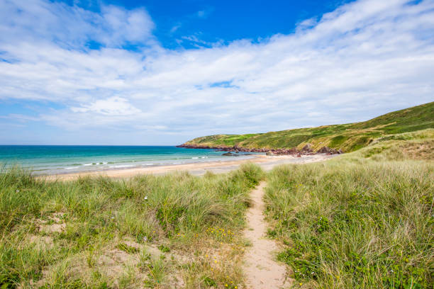 Path leading to scenic beach on sand dunes covered with patches of grass in Freshwater West on beautiful Pembrokeshire coast,South Wales,Uk.Beautiful weather, turquoise sea and blue sky with few clouds in background. stock photo