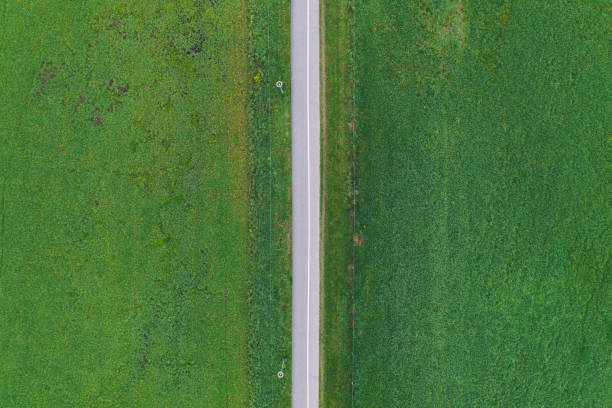 Path with bike lane through green grasslands stock photo