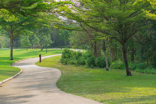 pathway and beautiful trees track for running or walking relax in the park on green grass field on the side of the golf course.