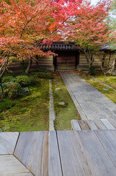 Pathway in japanese style garden
