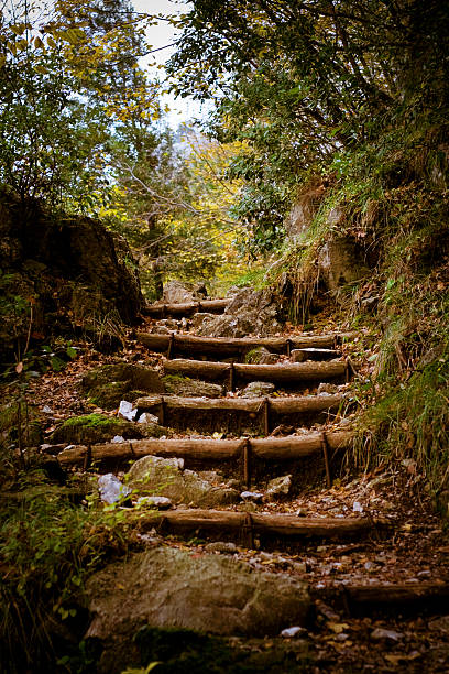 Pathway on Olympus mountain trail E4 stock photo