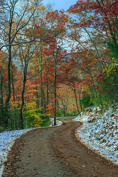 Pathway to Winter - Nature Snow and Fall stock photo