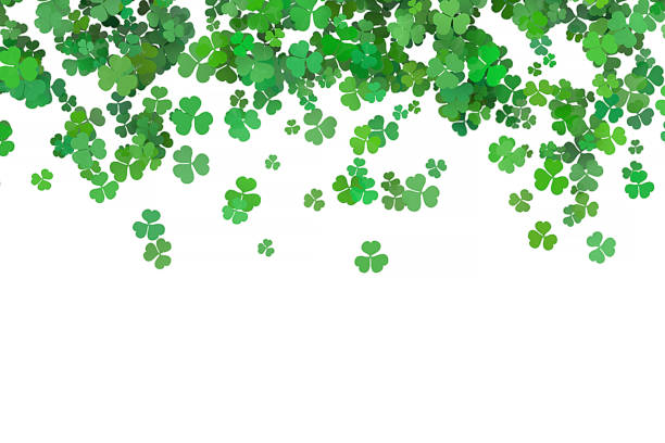 ST Patrick's day green background clover leaf selected fucus for ST Patrick's day celebration design background stock photo