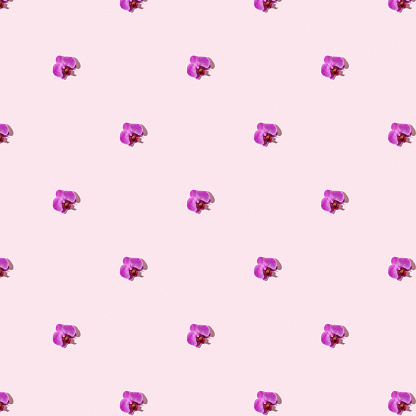 pattern of orchids on a pink background. orchids on a bright table. many flowers on a pink background. romantic orchid pattern