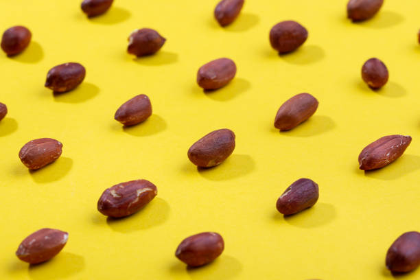 pattern of peanuts. fashionable sunny pattern of peanuts  on yellow background. - pea protein powder isolated bildbanksfoton och bilder