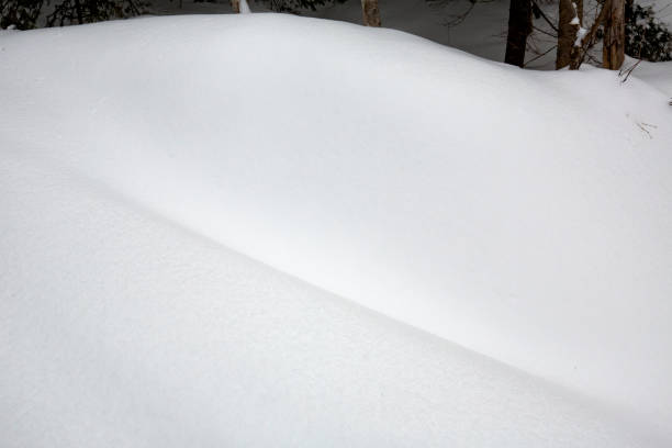 Photo of Patterns in deep snow drifts in woods of Rangeley, Maine