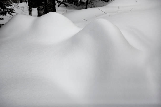 Photo of Patterns in deep snow drifts in woods of Rangeley, Maine